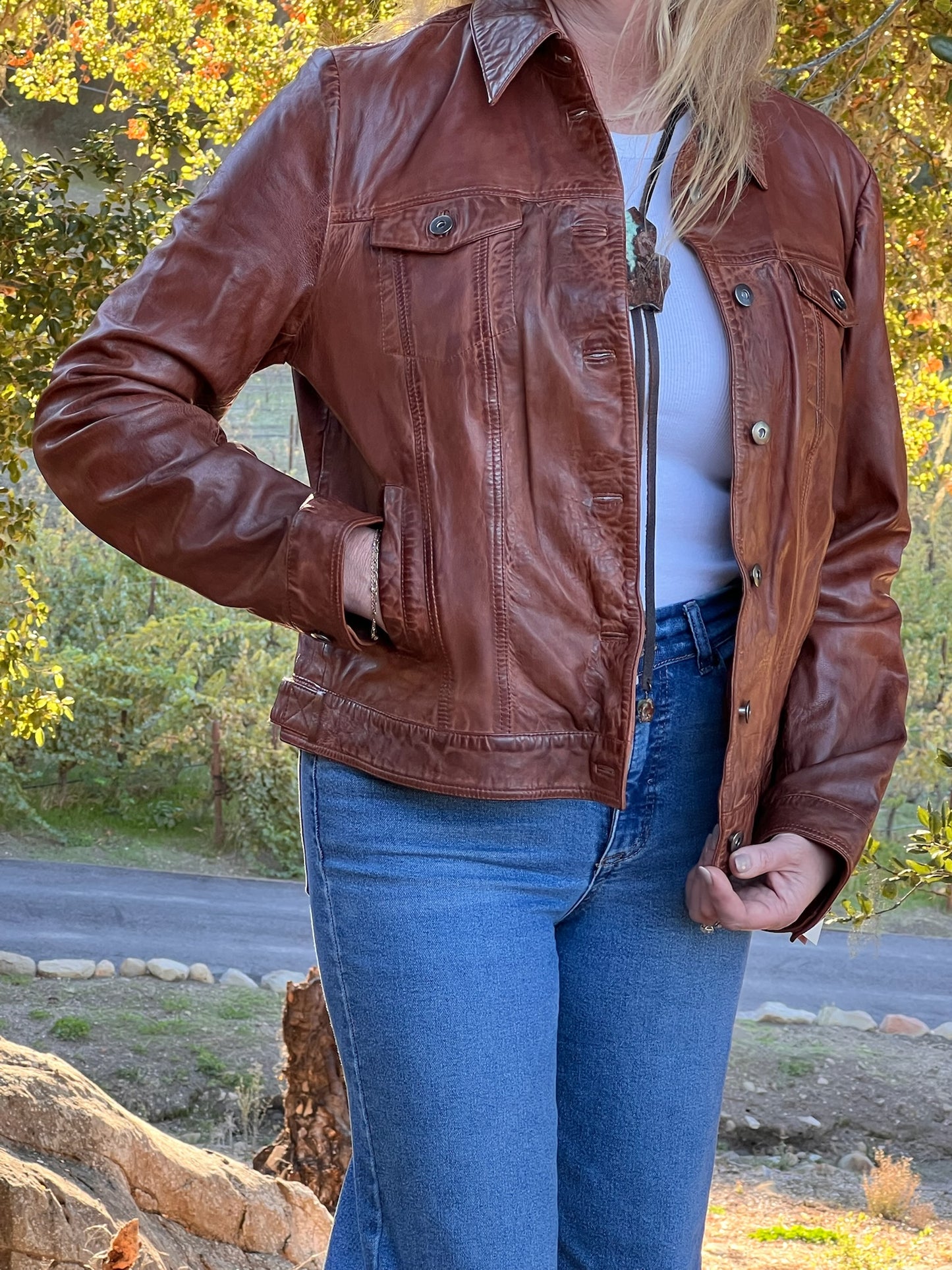 Wynn Jacket